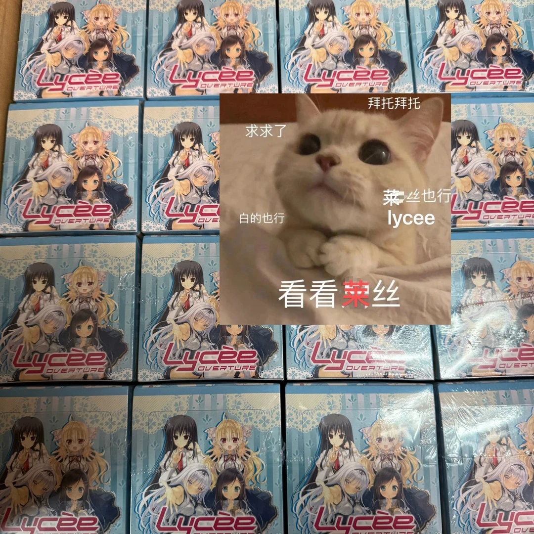 lycee橘子社点盒