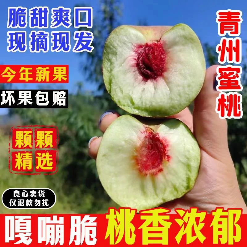【正宗青州蜜桃】皮薄多汁脆甜桃子冬雪蜜桃山地小蜜桃青州蜜桃山东省
