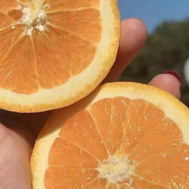 伦晚橙5斤，10斤/袋