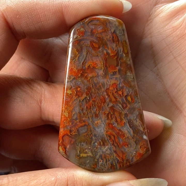 未镶嵌颈饰玛瑙/玉髓战国红