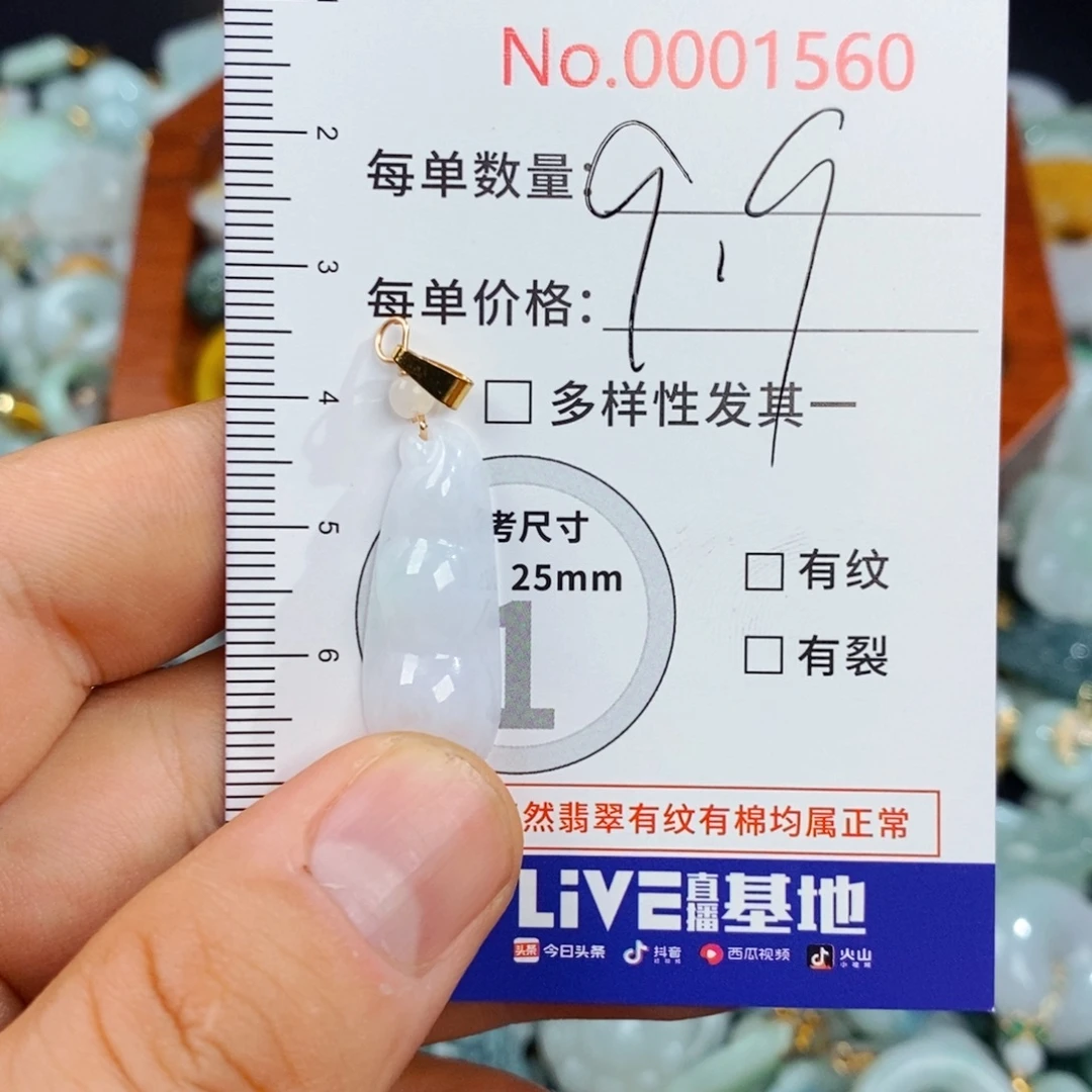 颈饰未镶嵌翡翠1560