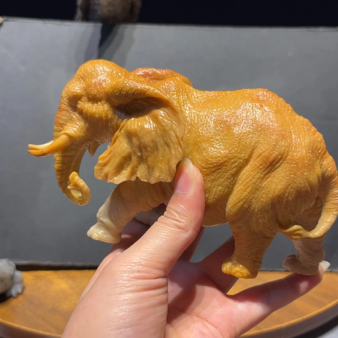 我***看寿山石寿山石交流活动