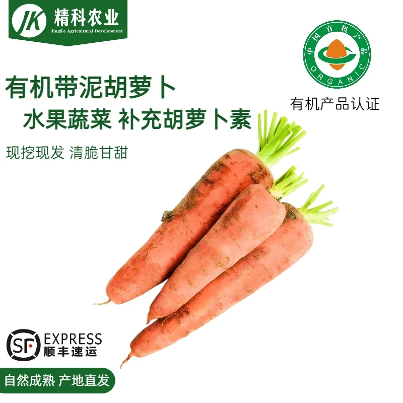 【精科农业】胡萝卜  清脆可口 2斤装 现摘现发 有机种植