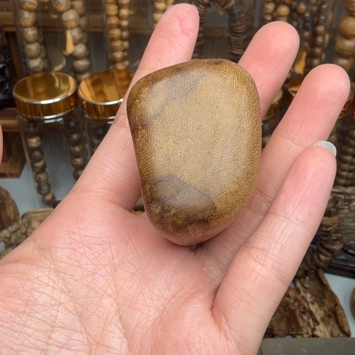 沉香沉香碎屑文莱沉香随型手把件14.7克