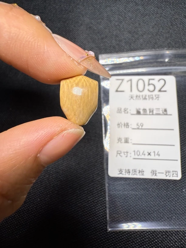 Z1052天然猛犸牙冰咖鲨鱼背三通配饰