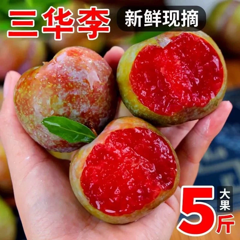 【早上采摘】福建芙蓉李红心三华李子应当季新鲜水果红肉三华李子