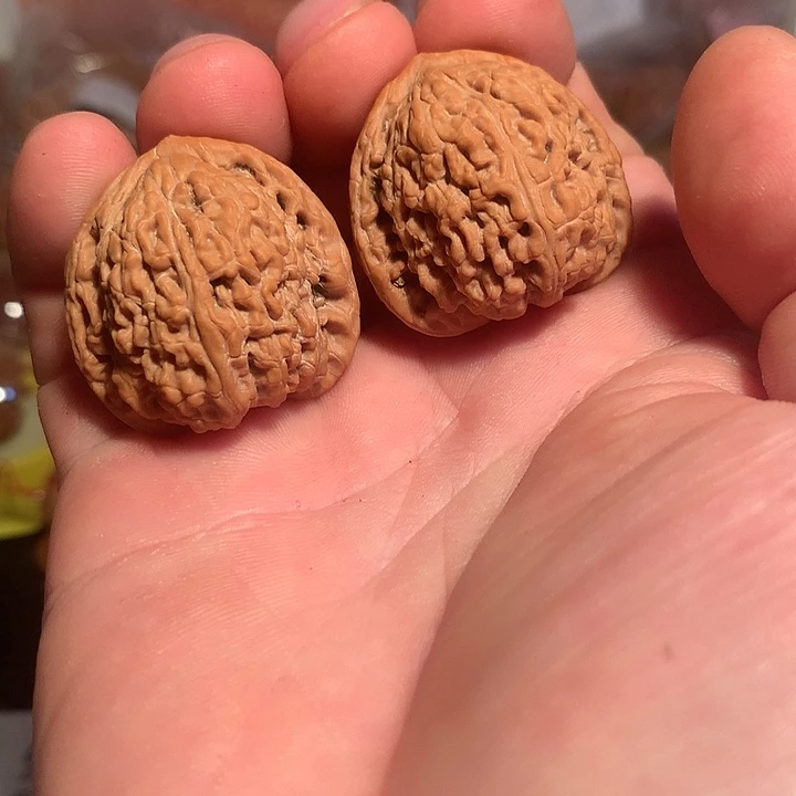 别***哥文玩核桃吊坠红玛瑙3.35