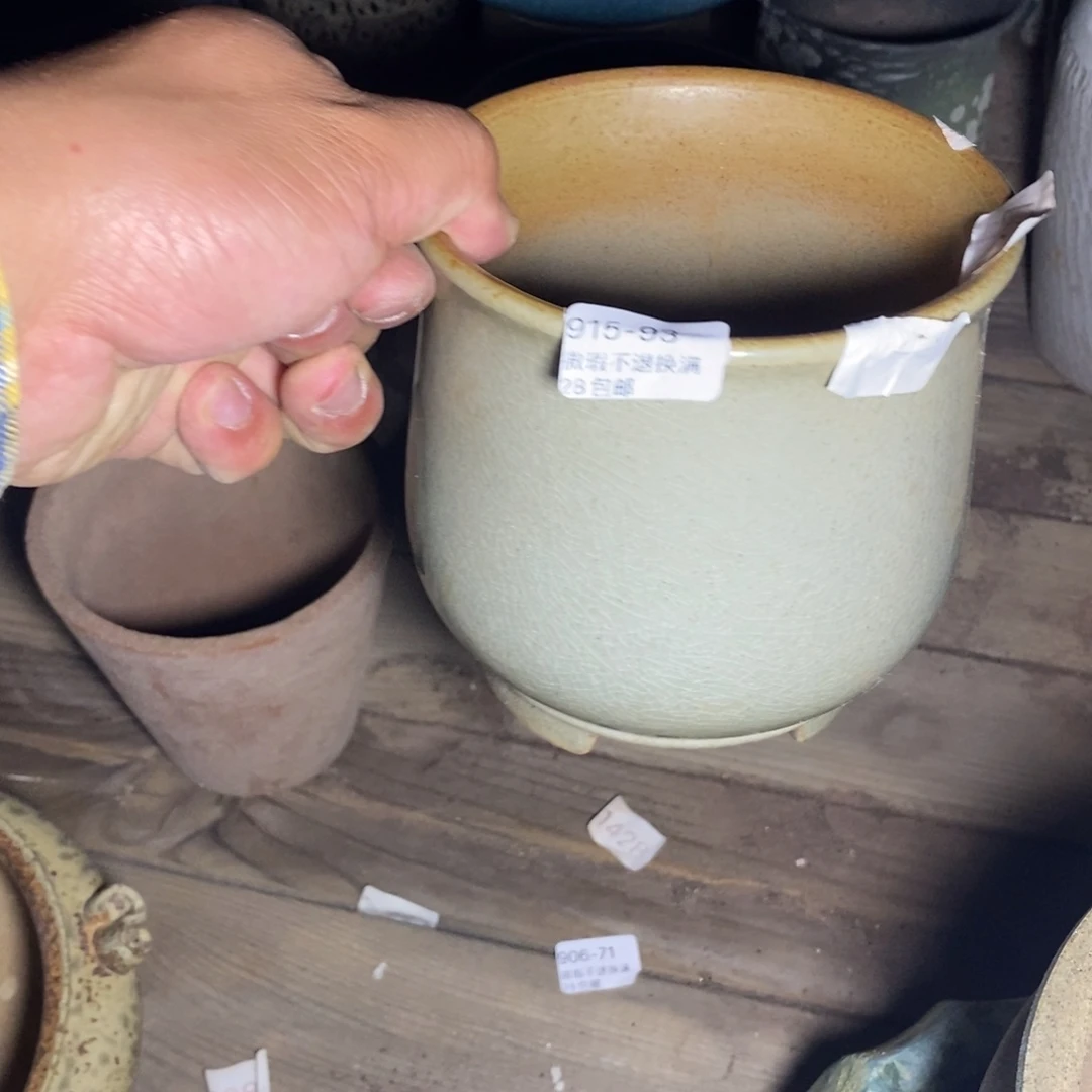 93号花盆内11.5高13