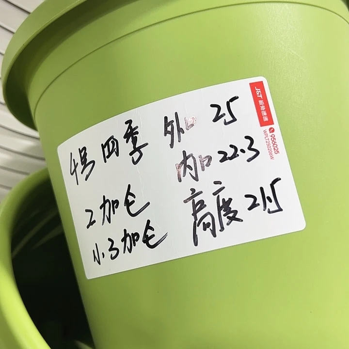四季4号特价混色8个无托