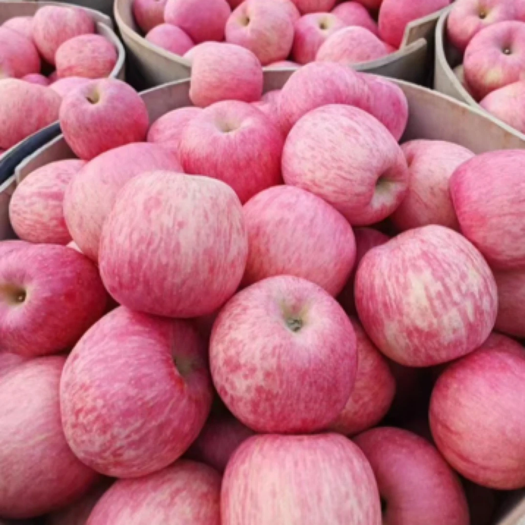 【整果】A级烟台红富士苹果（一颗300克）山东省