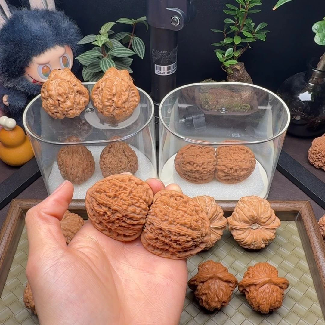 痞***丶把件龙脊菩提全品全家福三角疆41