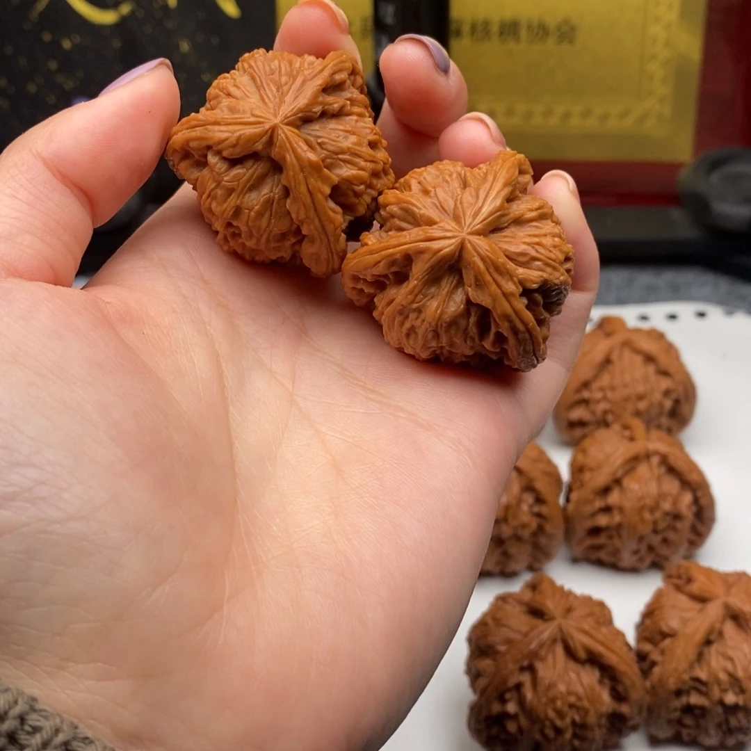 鱿**设白狮子11111111