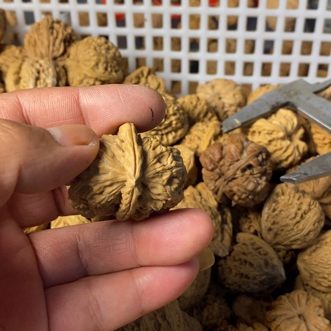 F***七大叶紫檀（黑酸枝木类）