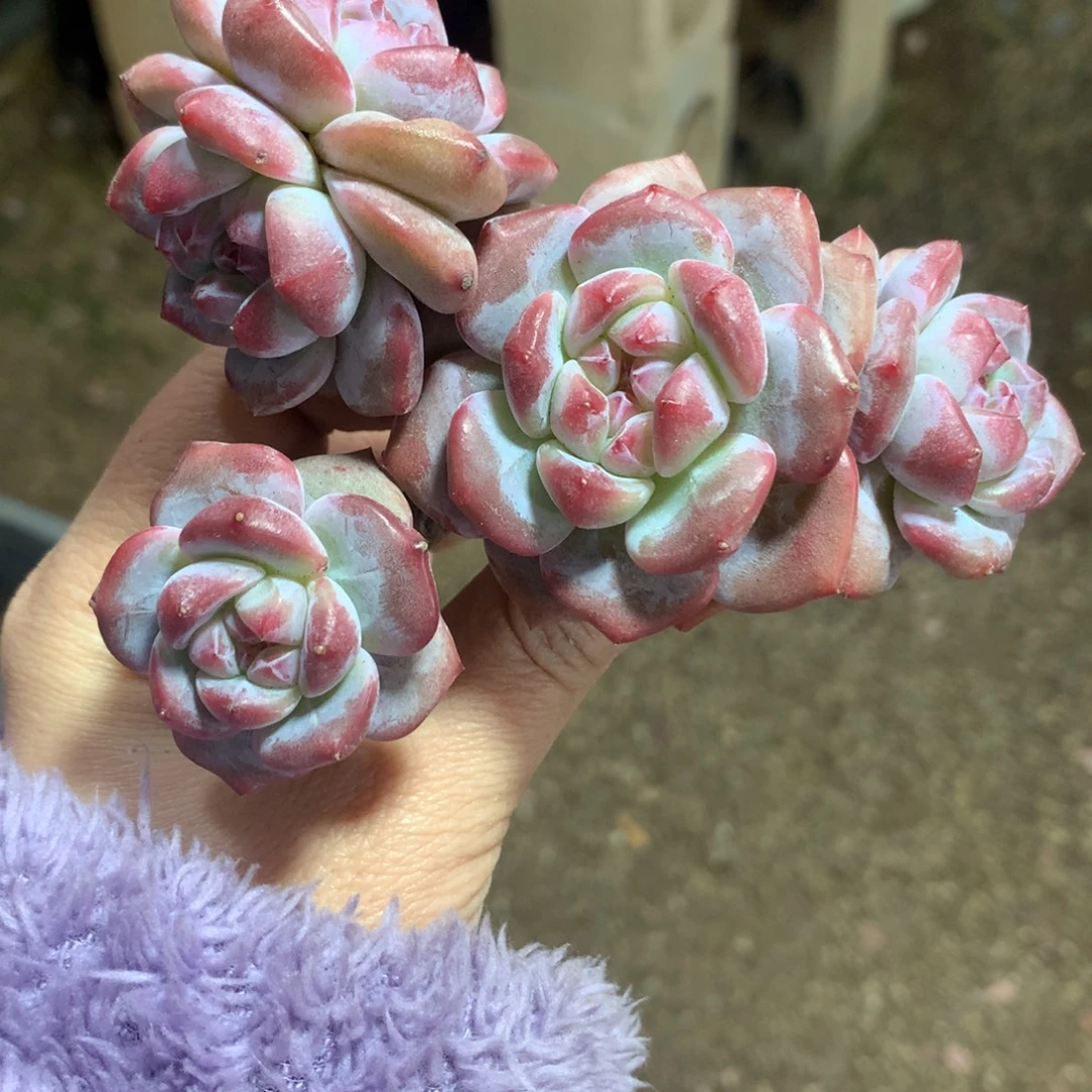 哈哈哈哈哈哈哈哈哈哈哈