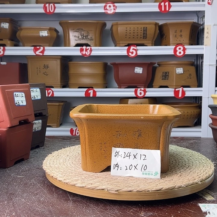 紫砂花盆蛇年大吉