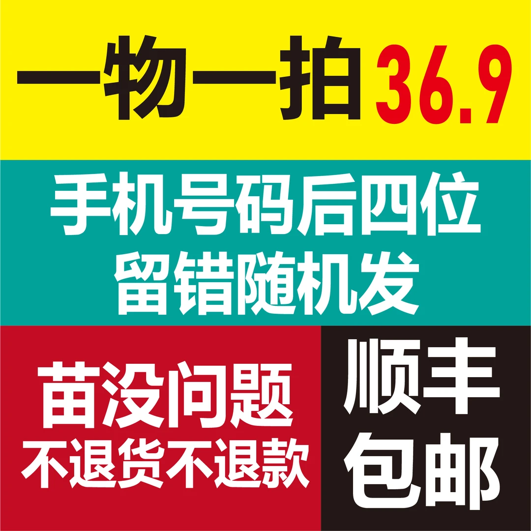 多色棒棒糖月季特大花四季开花老桩浓香室外庭院耐寒花苗