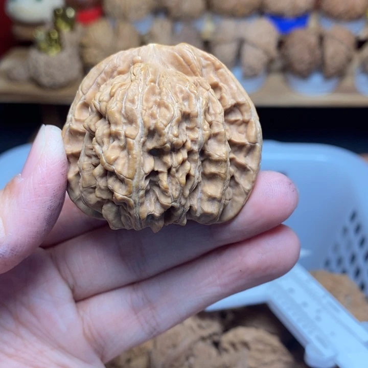 静***朗文玩核桃把件尺寸
