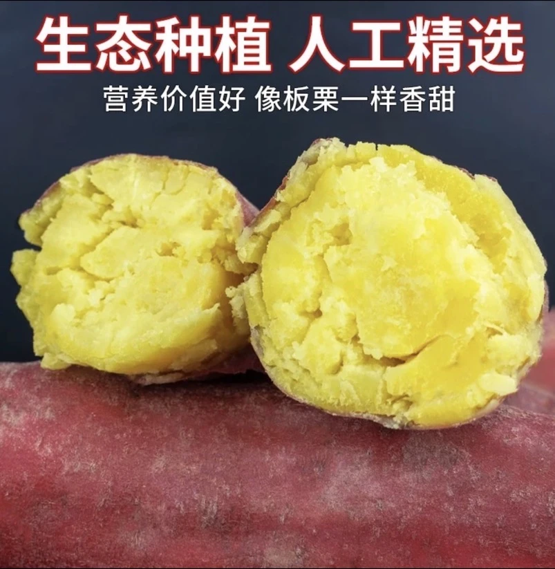 [买3斤送2斤】新鲜现挖板栗红薯粉糯香甜正宗蜜薯