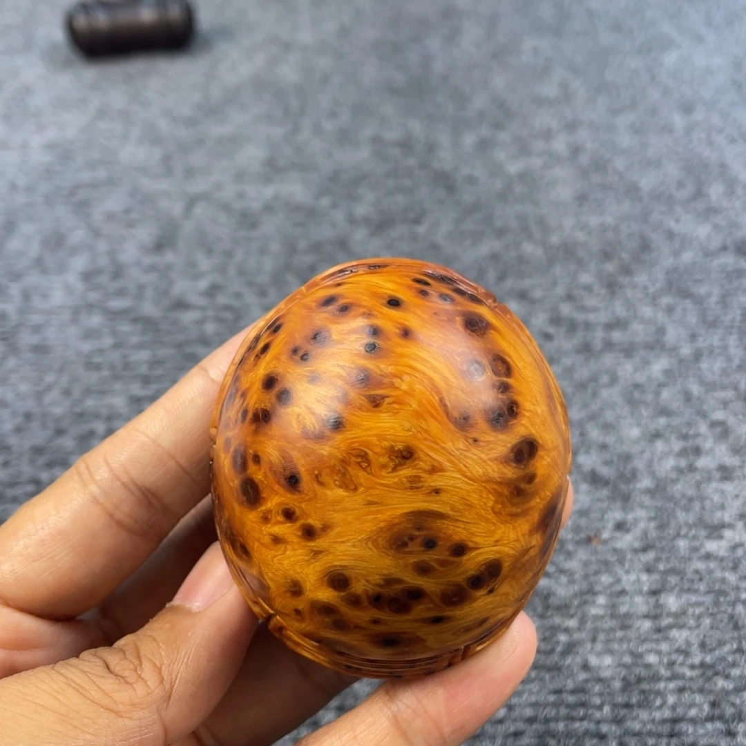 隔***藏柏木（崖柏）888888888888