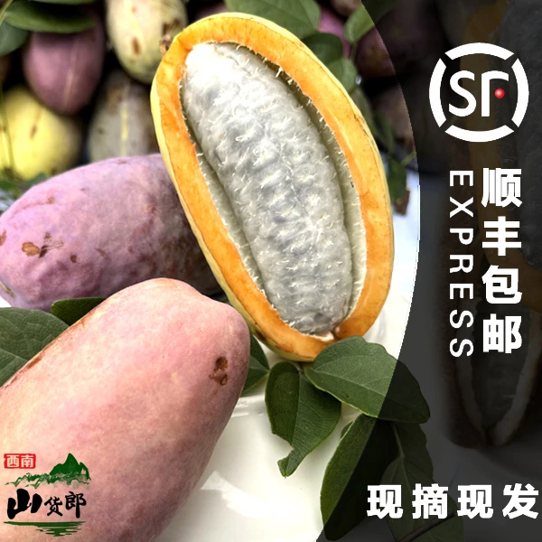 八月瓜云贵高原稀有水果现摘顺丰包邮山货郎精选2斤3斤5斤八月炸