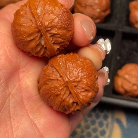 文玩核桃吊坠秦岭野生核桃