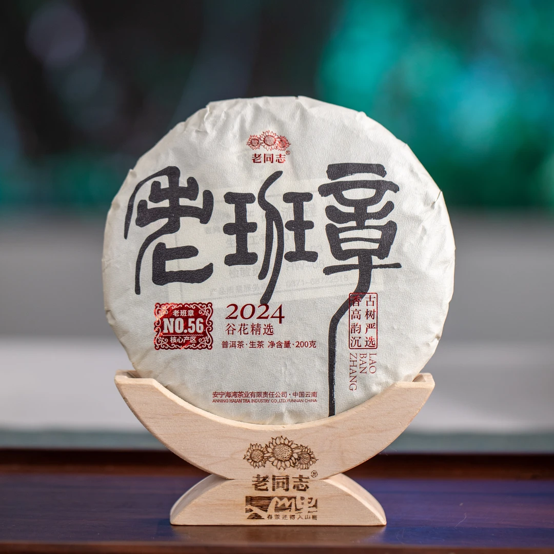 老同志2024老班章 谷花 古树 生茶 200克