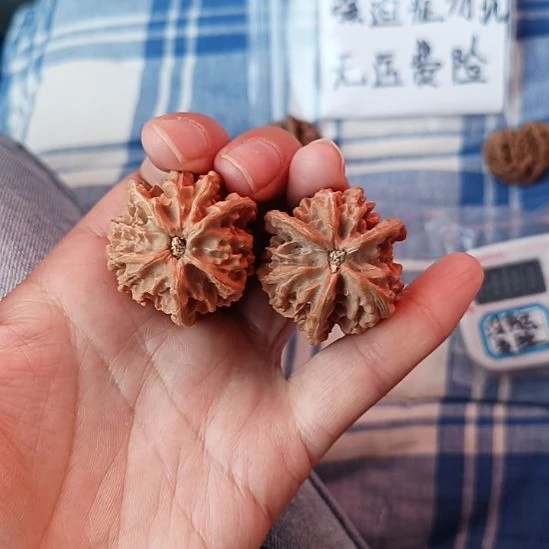 用***5盘山文玩核桃三棱子