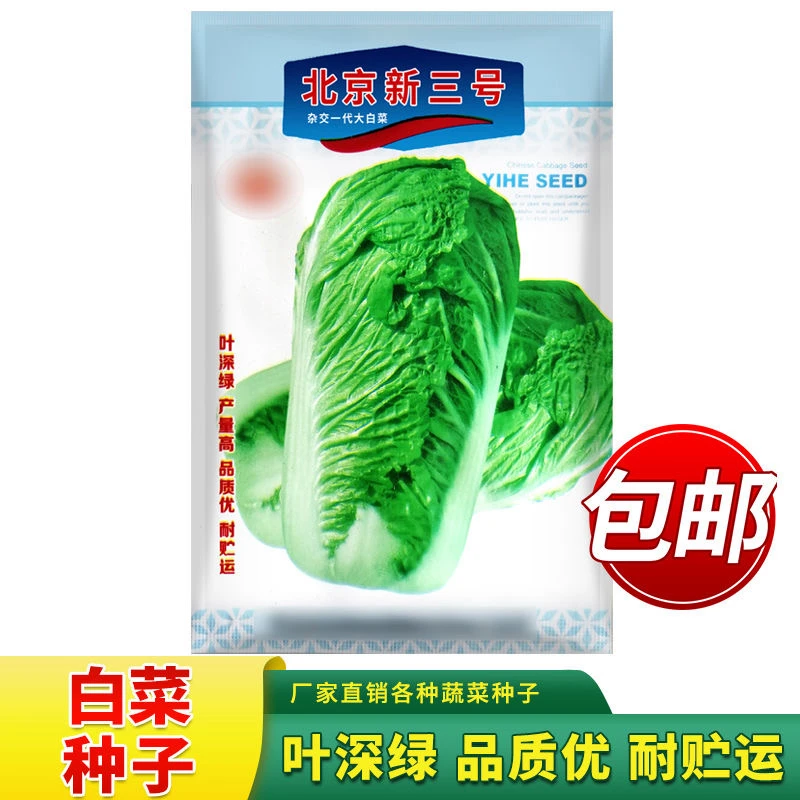 秋季白菜种子北京新三号80天易种植白菜种子