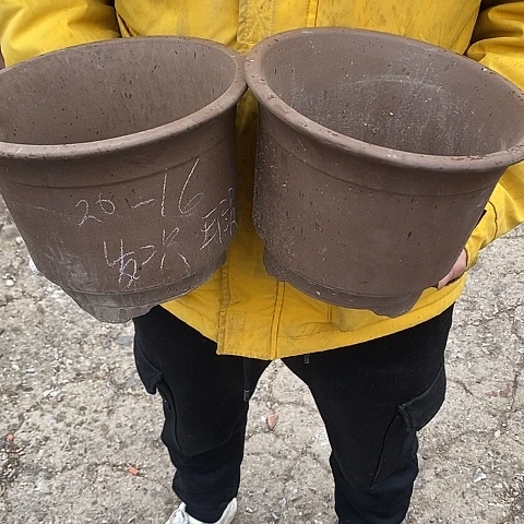 紫砂东莞李新紫砂花盆，