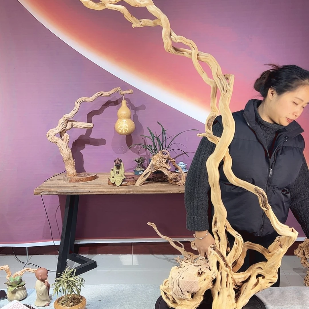 鸡***壳木天然杜鹃根根艺摆件