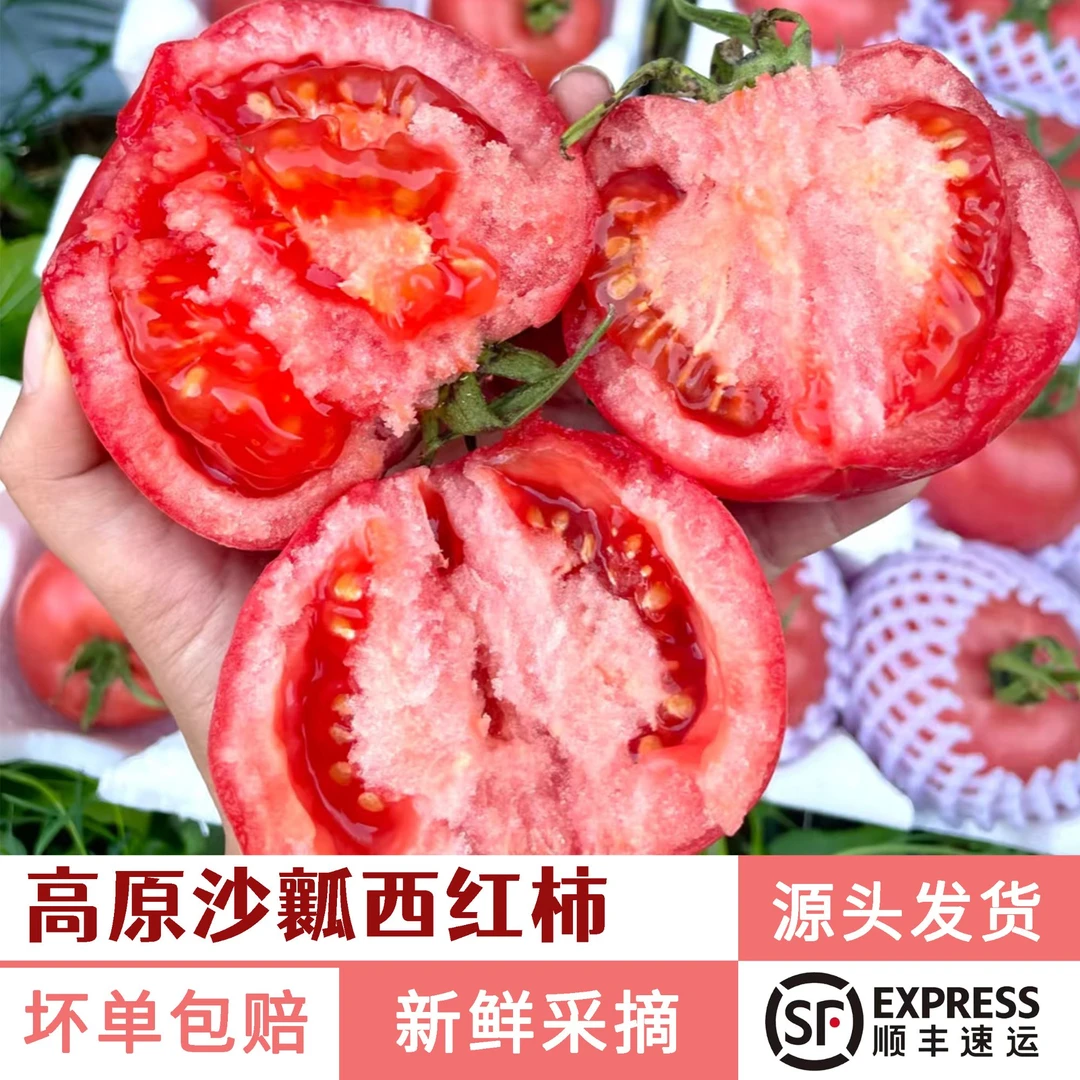 【顺丰快递】甘肃农家种植现采现摘露天低秧新鲜发货沙瓤西红柿