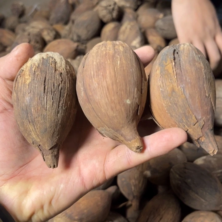 千眼菩提吊坠千眼菩提第90