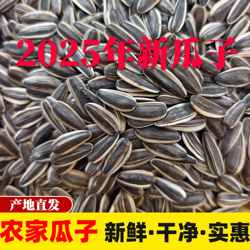 【25年新瓜子】内蒙古原味瓜子361生瓜子熟瓜子零食特产