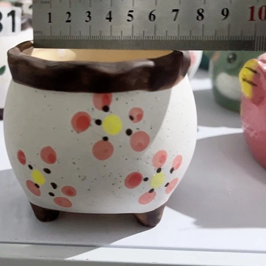 多肉植物花盆花盆