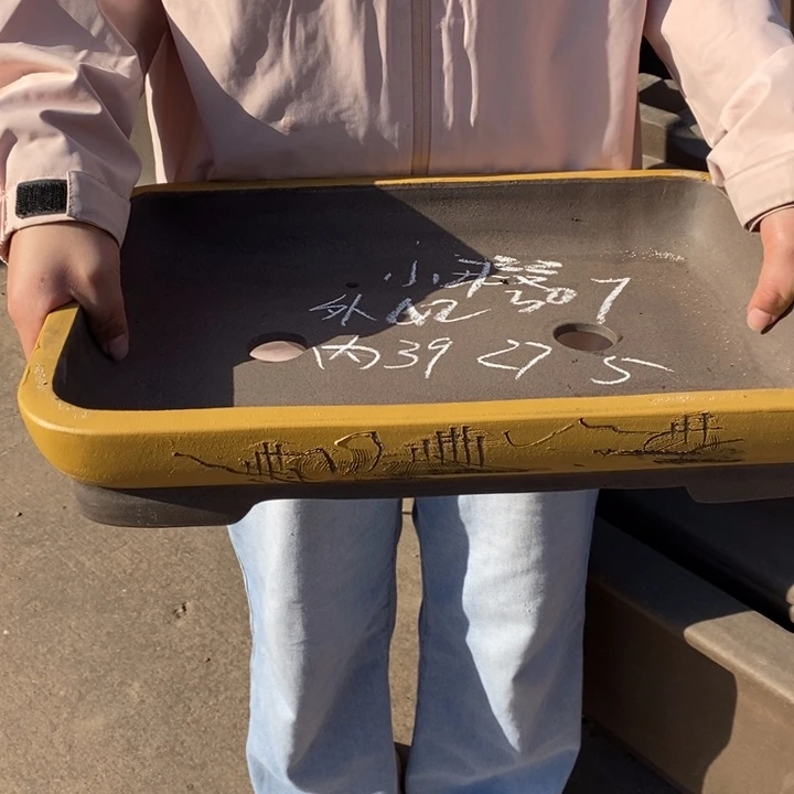 紫砂花盆只顾看手机的日子