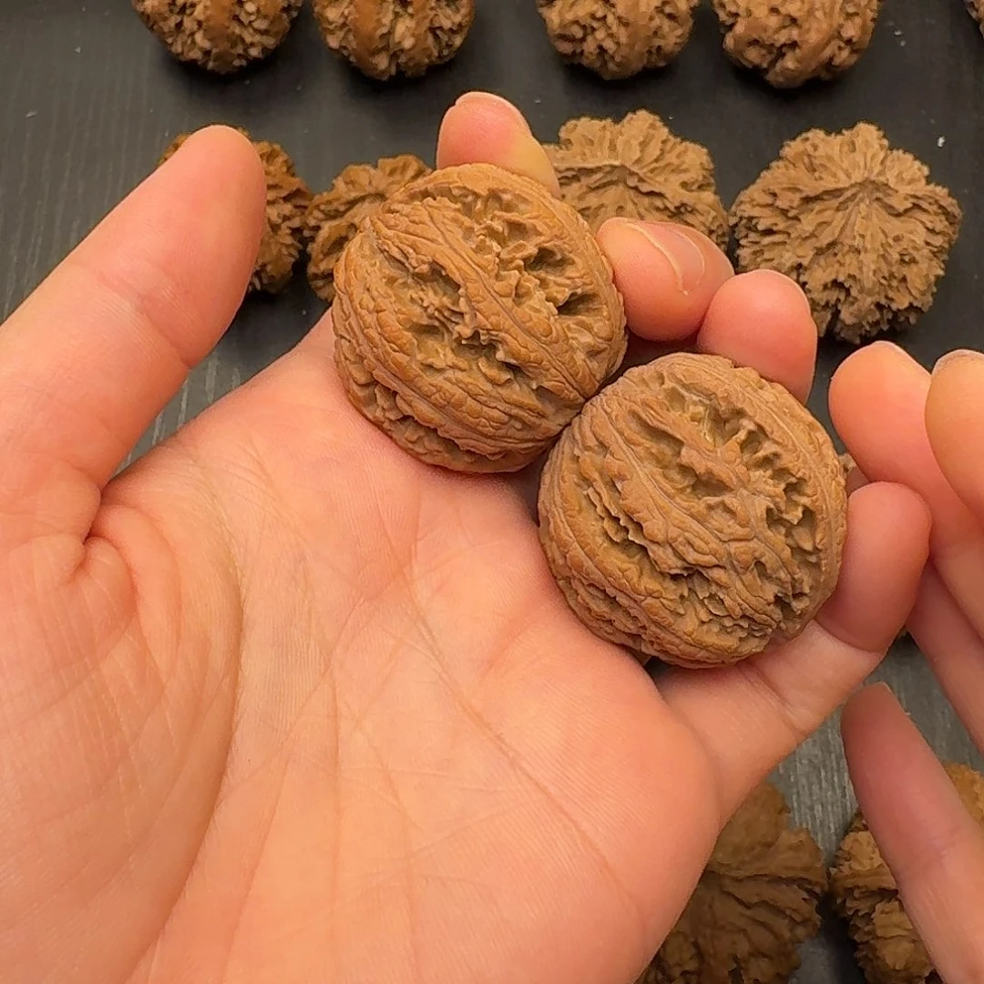 奋***年核桃突突突突突突