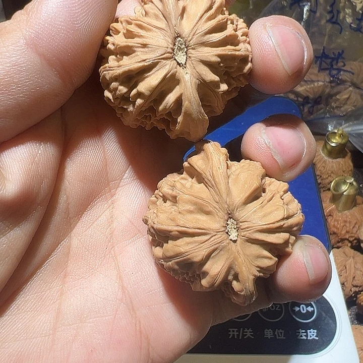 马***明核桃全品无修山地磨盘