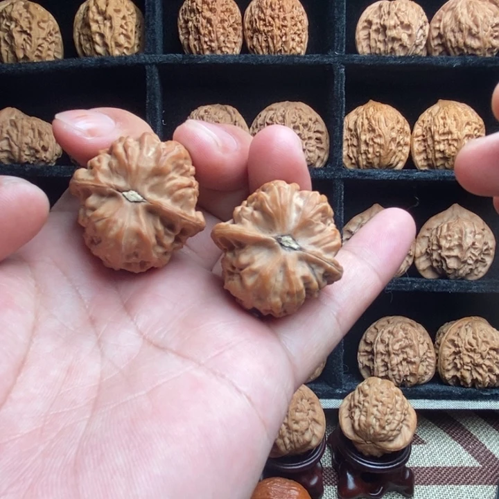 全品平谷大枣34尺寸