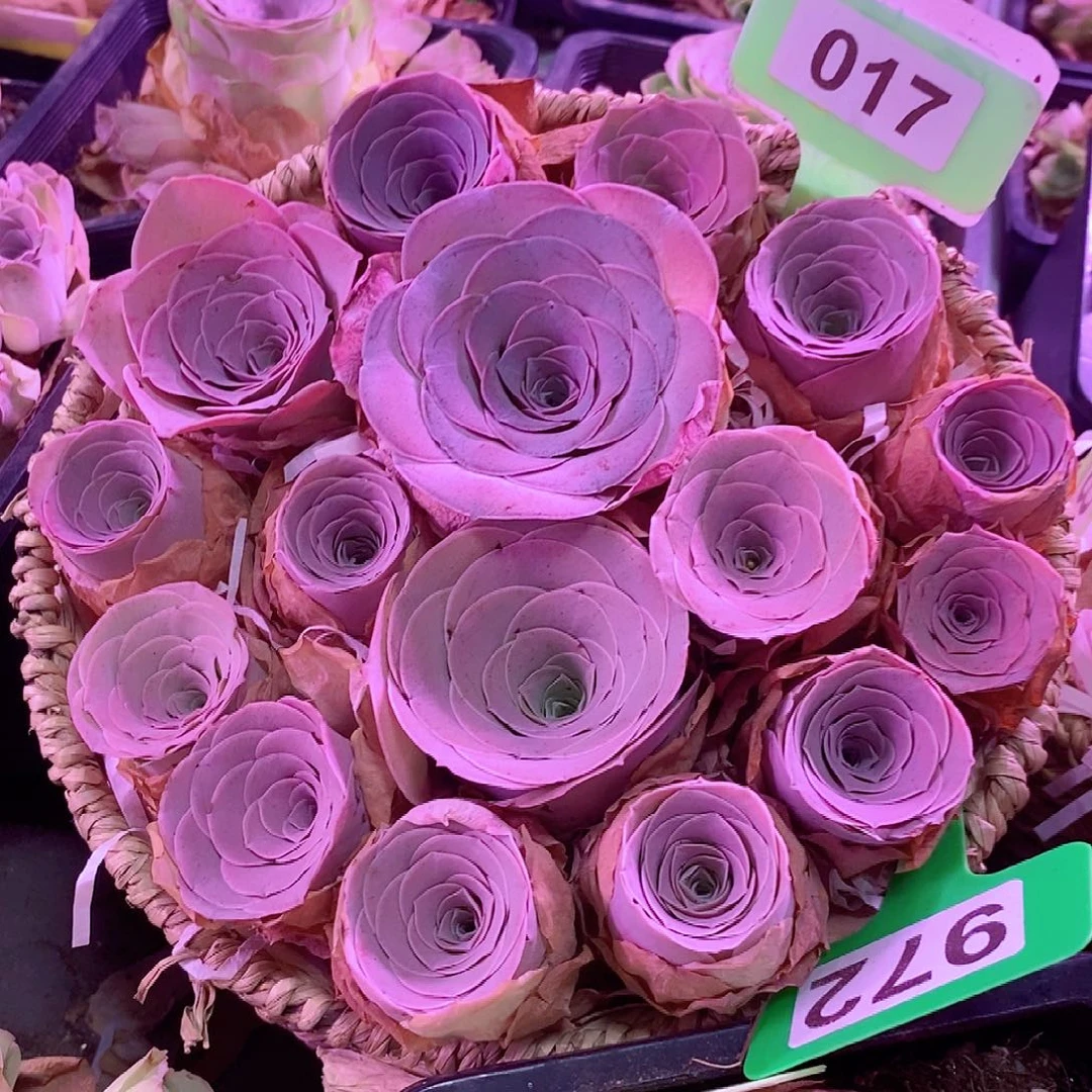 绮梦晨光大号花篮16颗一物一拍009