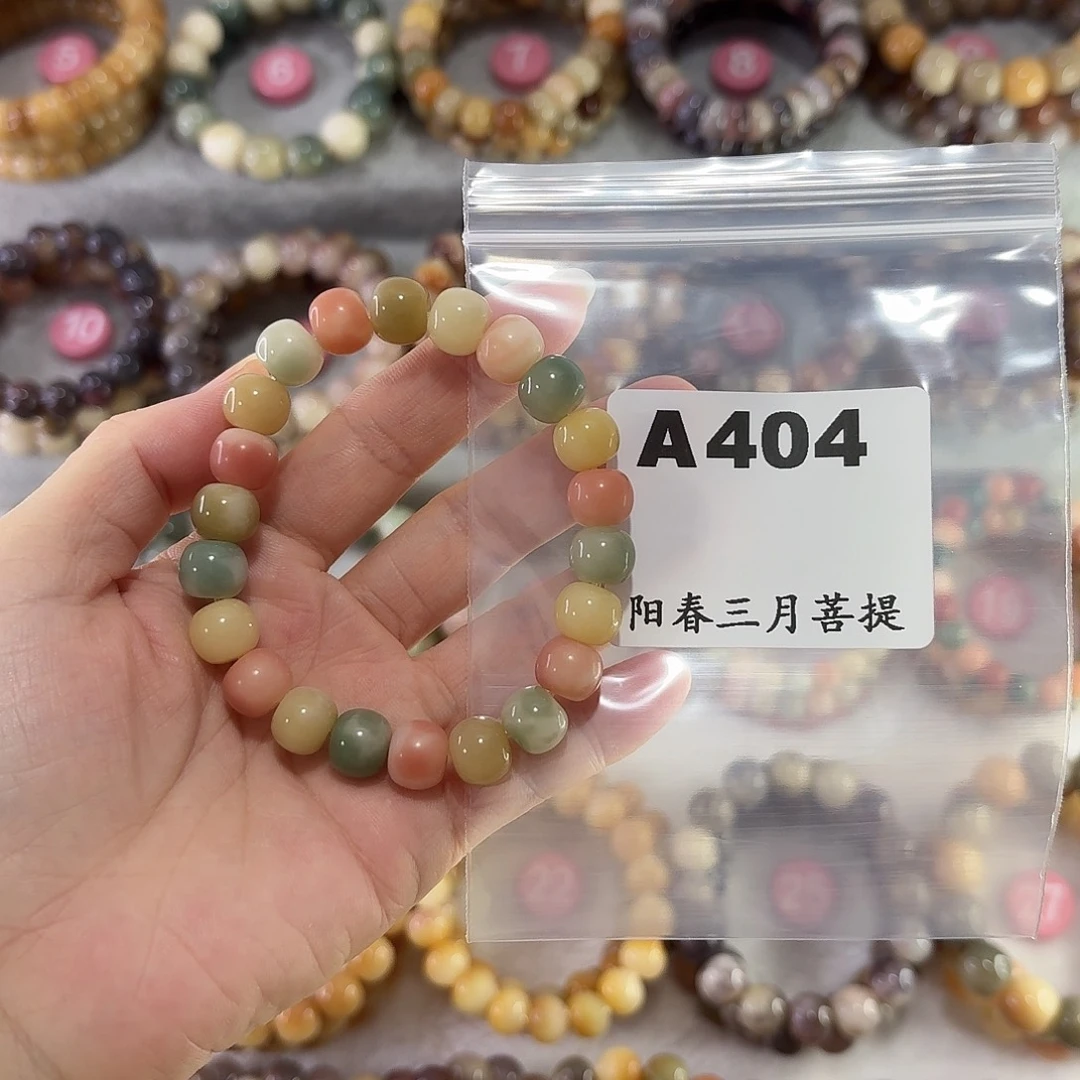 落***吃吊坠菩提根/象牙果