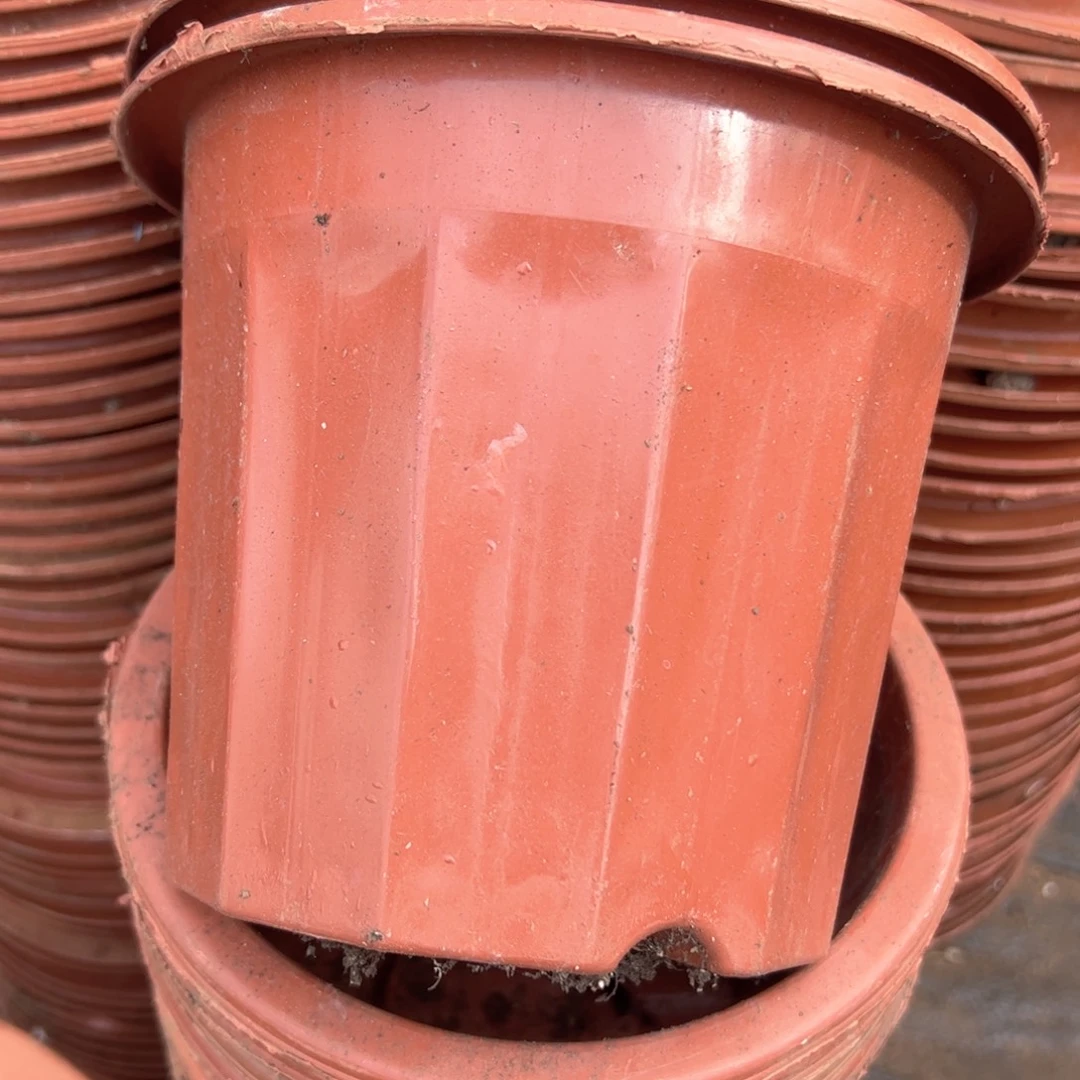 红砖盆16口径13高 50个