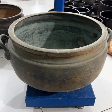 用****1向前看246565645645555