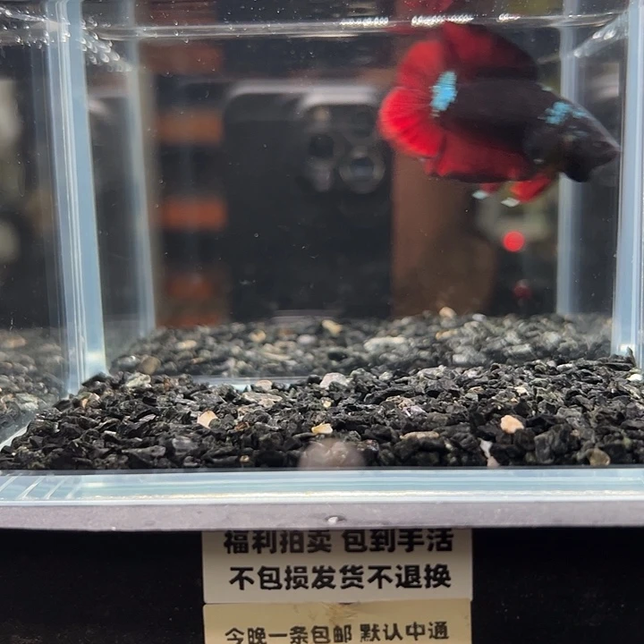 斗鱼竞拍跑单拉黑14日142