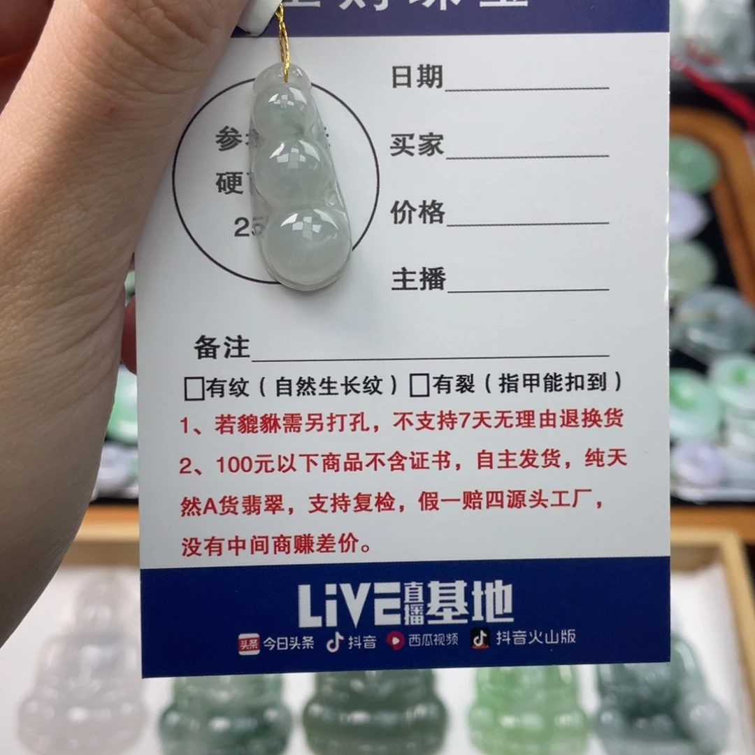 翡翠未镶嵌颈饰福豆