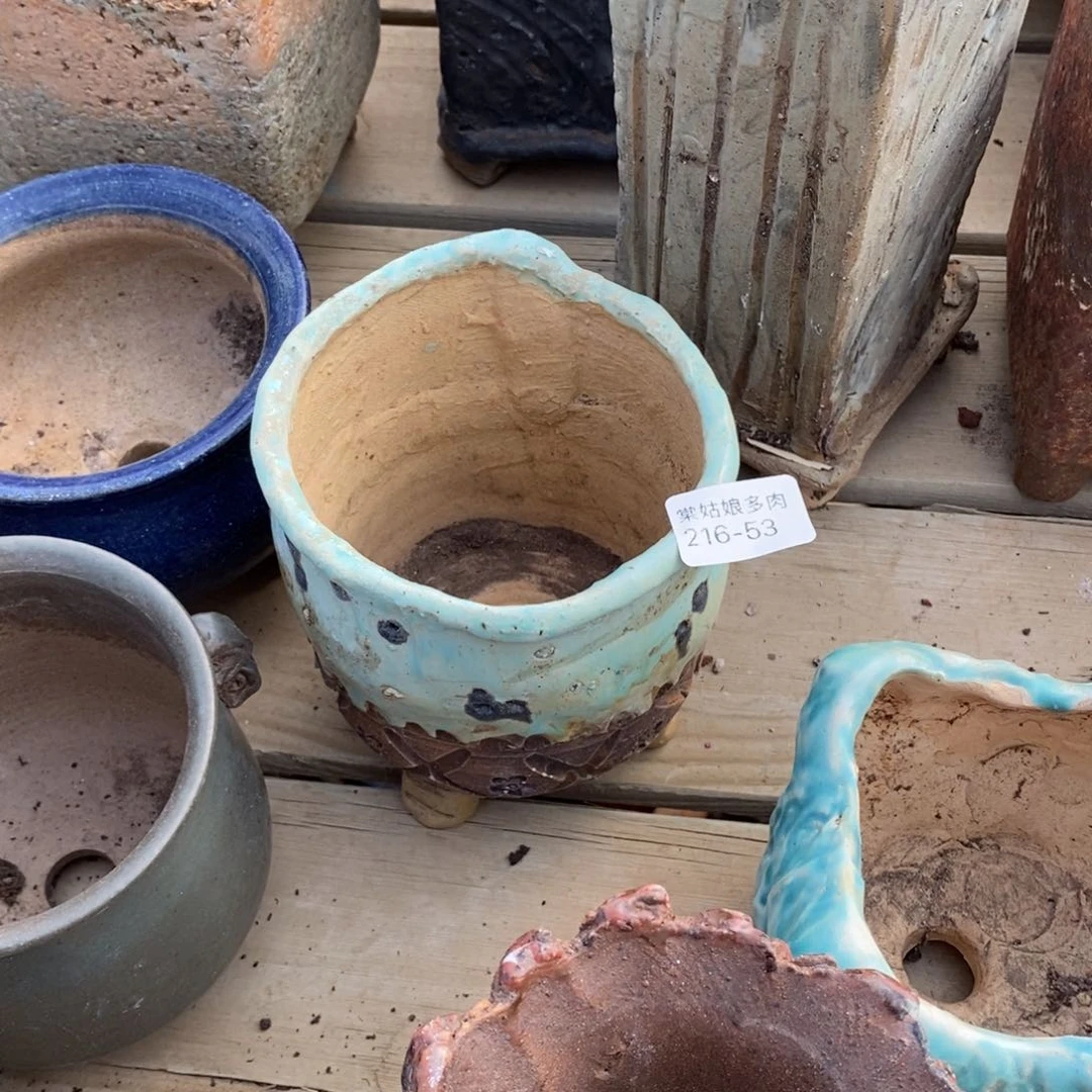 红陶H****e53号多肉盆一个呀