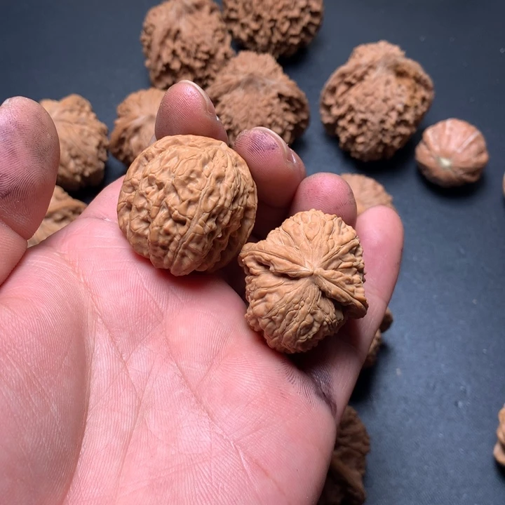 把件文玩核桃32白狮子20