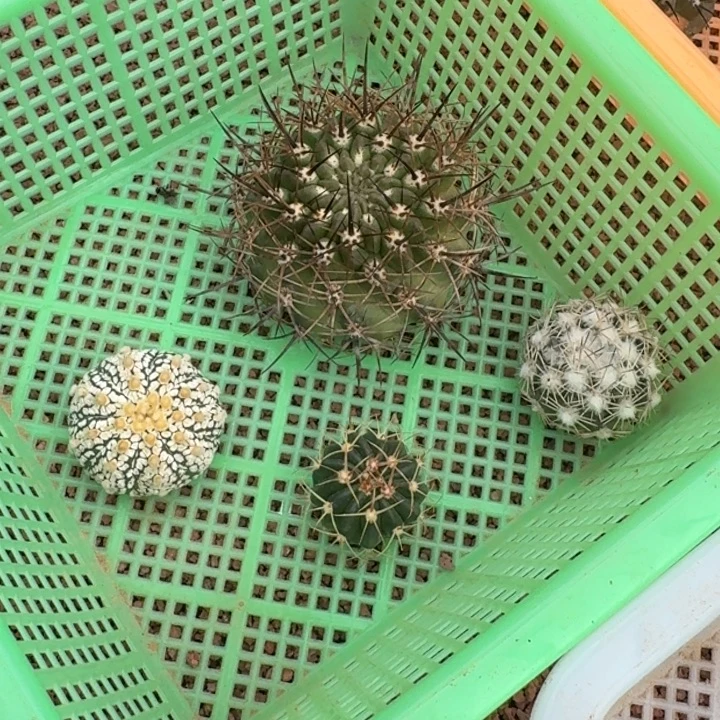框拍福利15不退不换,微瑕疵