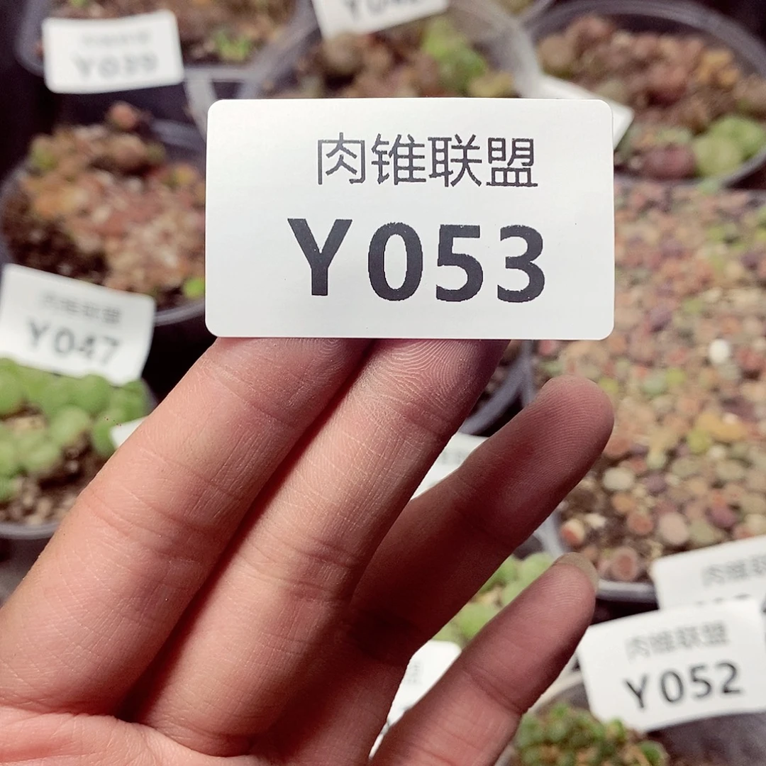 任***憨53jjkkjjjjjjjkjjk