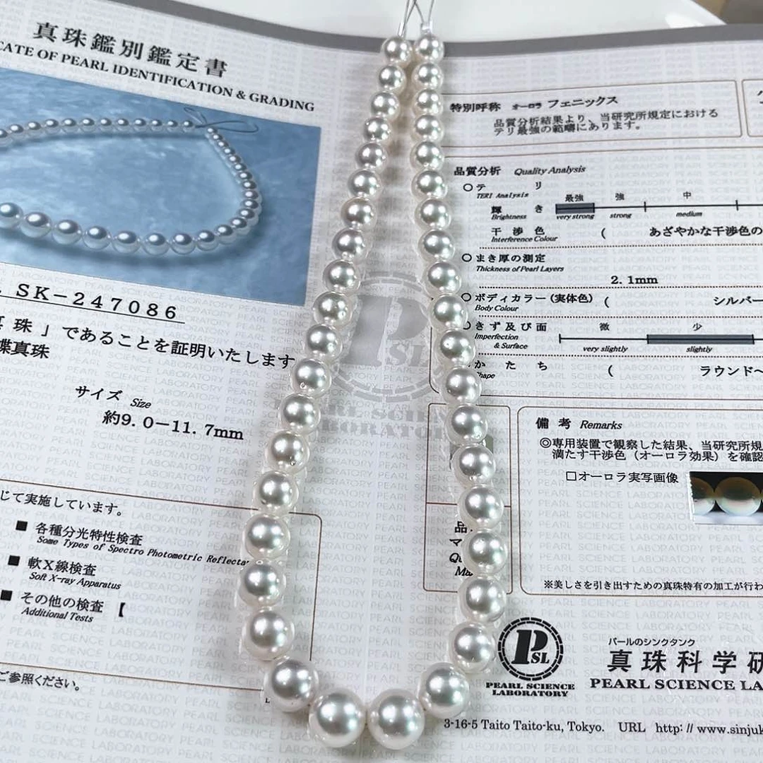 海水珍珠未镶嵌颈饰澳白凤凰sk9-11.7