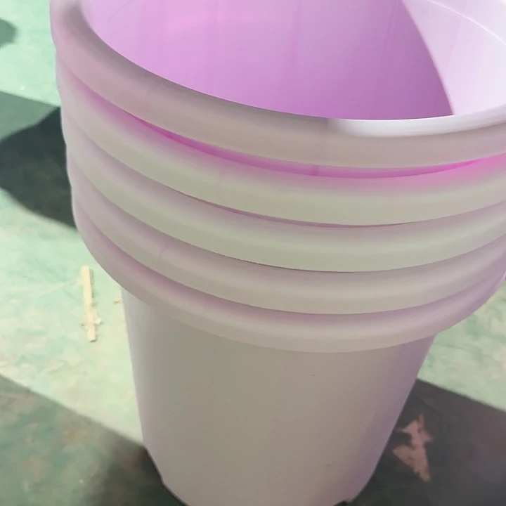 编号编号编号2449